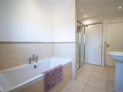 Picture 19